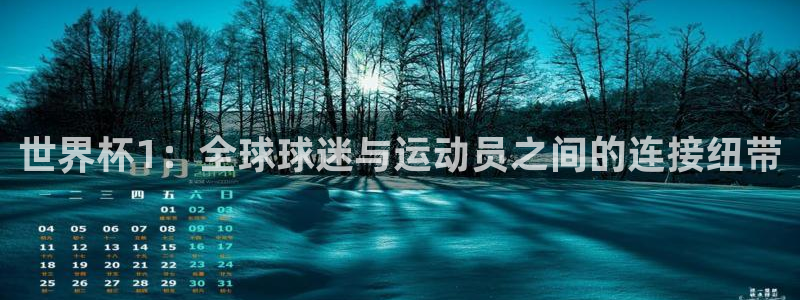 2026世界杯直播：世界杯1：全球球迷与运动员之间的连接纽带