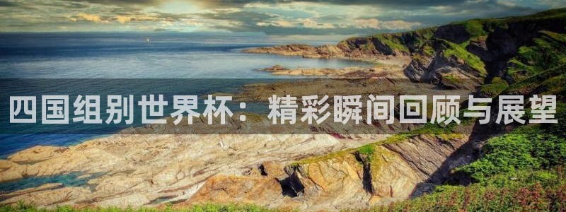 世界杯预选赛欧洲