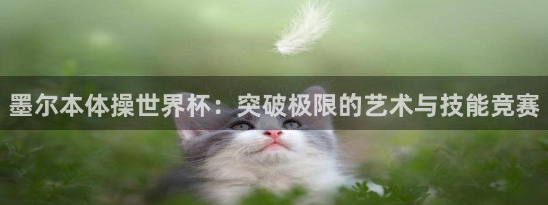 世界杯足球赛：墨尔本体操世界杯：突破极限的艺术与技能竞赛
