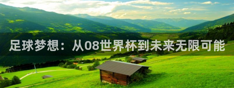 2006年世界杯:足球梦想:从08世界杯到未来无限可能