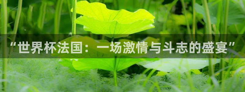 2026年世界杯时间表：“世界杯法国：一场激情与斗志的盛宴”