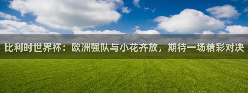 世预赛免费直播入口：比利时世界杯：欧洲强队与小花齐放，期待一场精彩对决