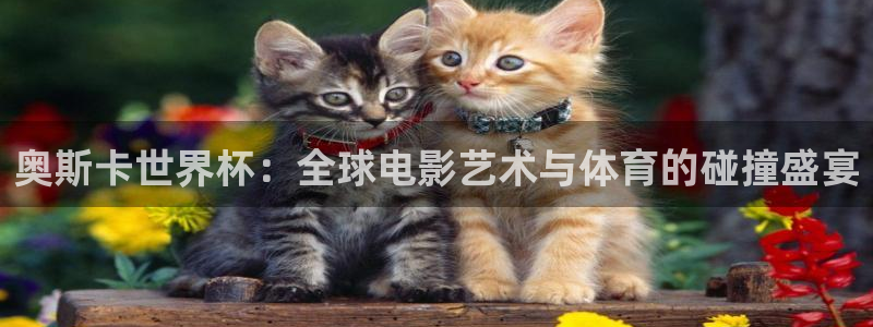 欧洲世界杯预选赛赛程：奥斯卡世界杯：全球电影艺术与体育的碰撞盛宴