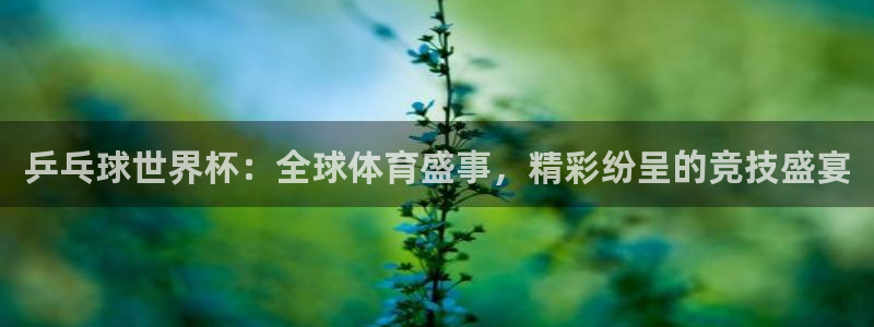 2026世界杯亚洲区预选赛赛程：乒乓球世界杯：全球体育盛事，精彩纷呈的竞技盛宴
