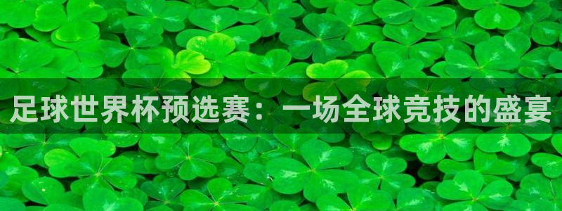 世界杯葡萄牙赛程：足球世界杯预选赛：一场全球竞技的盛宴
