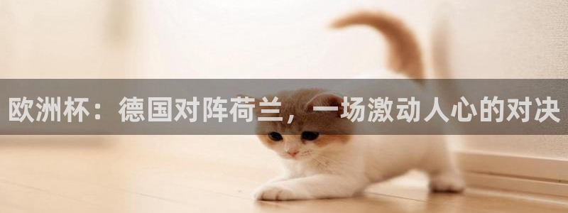 2026葡萄牙杯赛程表：欧洲杯：德国对阵荷兰，一场激动人心的对决