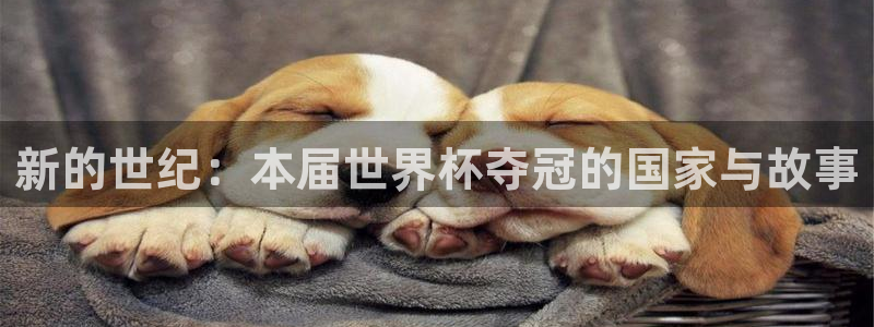 世界杯直播平台：新的世纪：本届世界杯夺冠的国家与故事