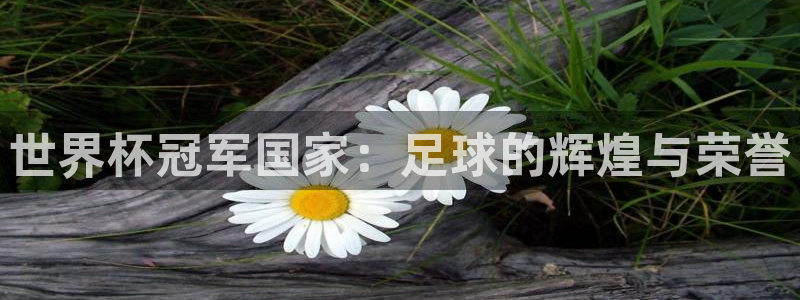 世界杯预选赛赛程表：世界杯冠军国家：足球的辉煌与荣誉