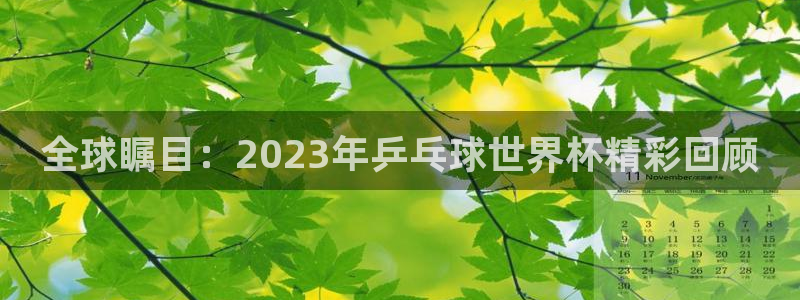 亚洲杯比赛直播：全球瞩目：2023年乒乓球世界杯精彩回顾