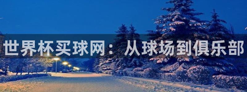 世界杯足球比赛：世界杯买球网：从球场到俱乐部